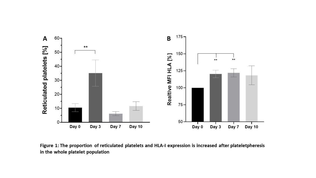 Under increased platelet turnover large and small platelets are