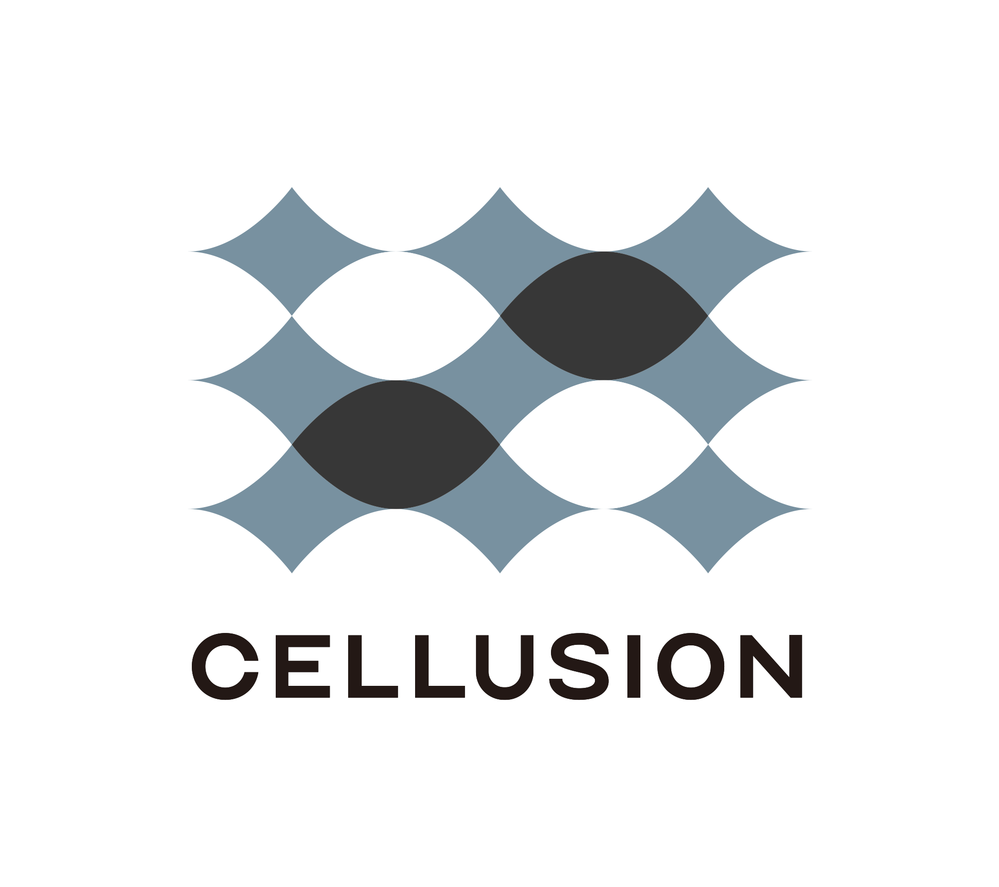 Cellusion Inc.