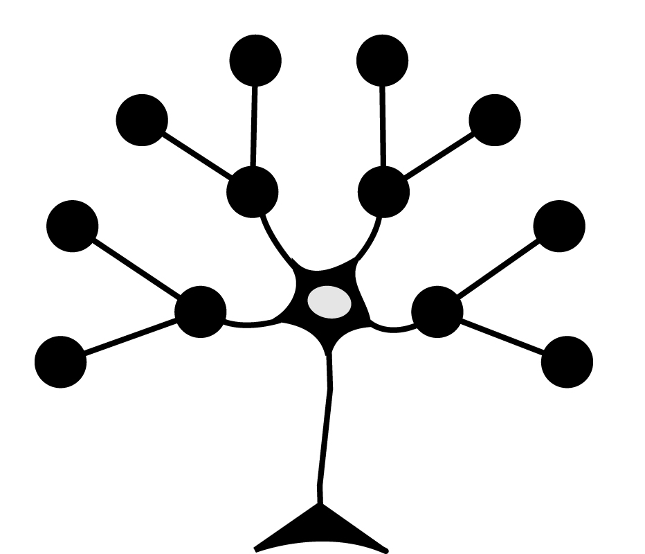 PathCision Medicine