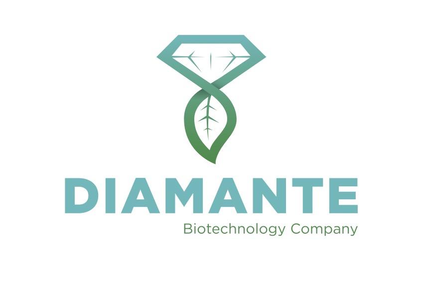 Diamante SB srl