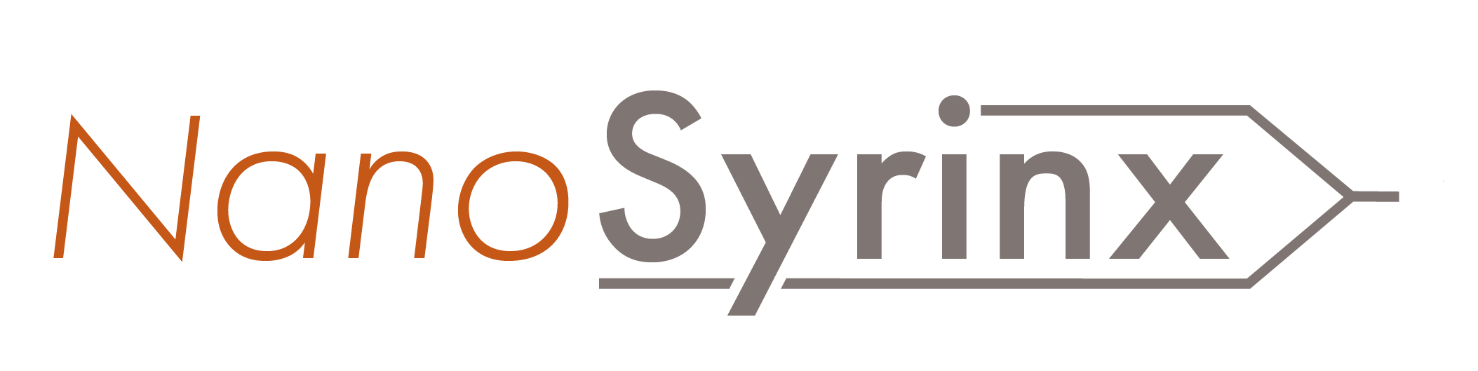 NanoSyrinx Ltd