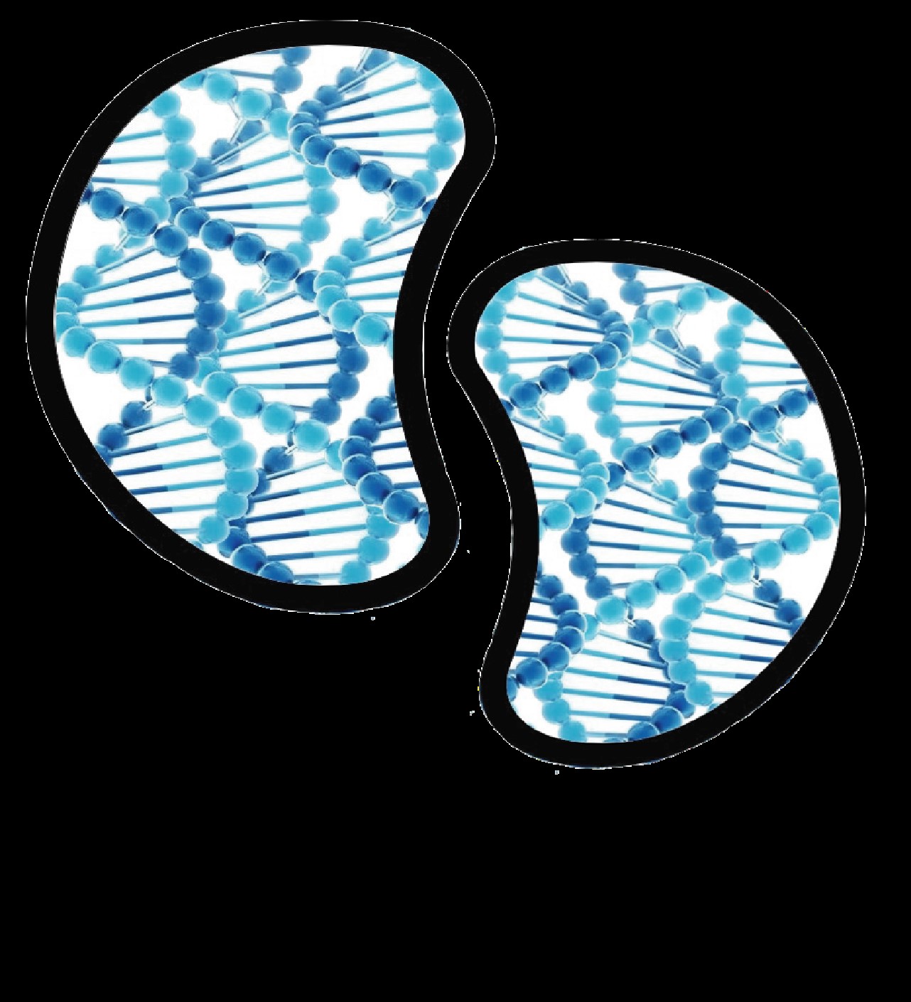Nephrogen