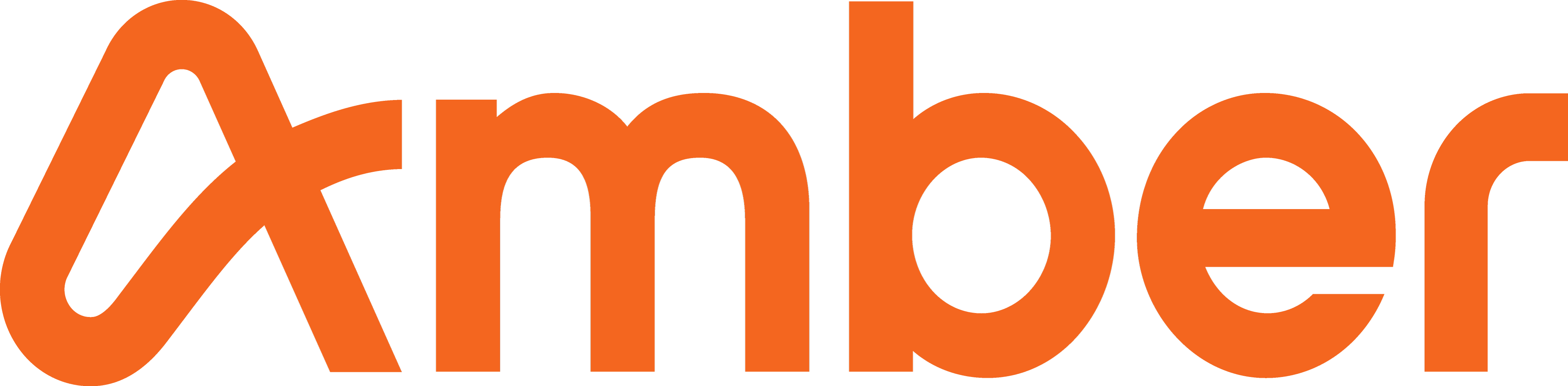 Amber Bio